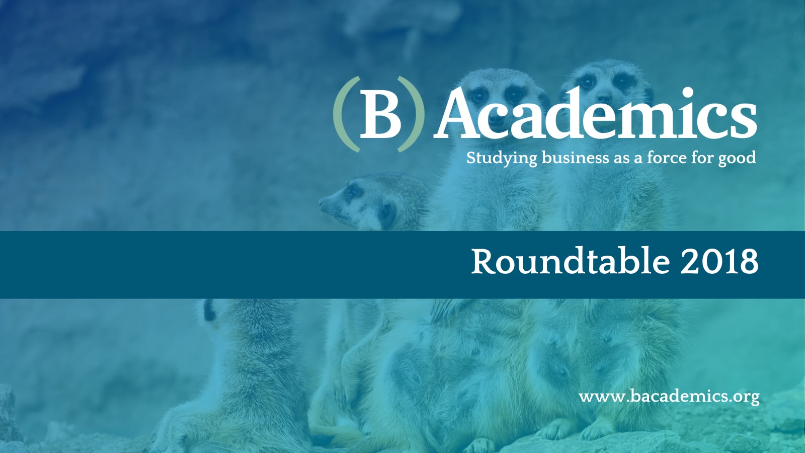 B Academics Roundtable 2018