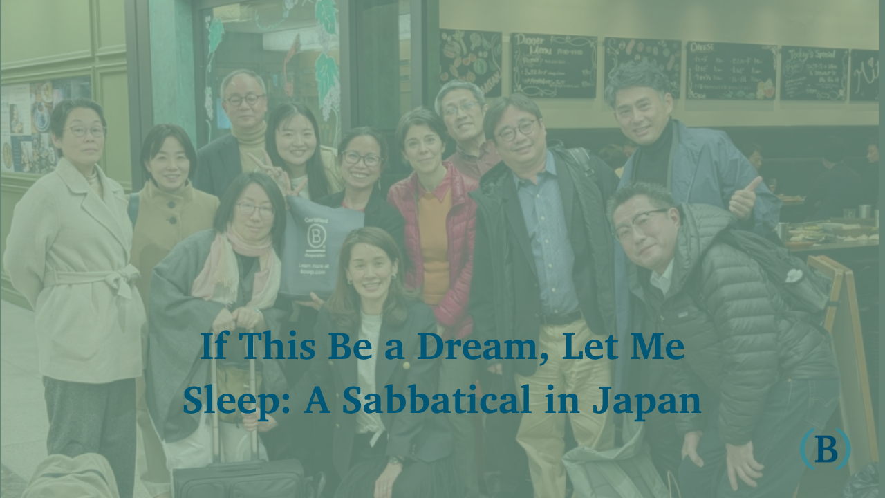 If This Be a Dream, Let Me Sleep: A Sabbatical in Japan